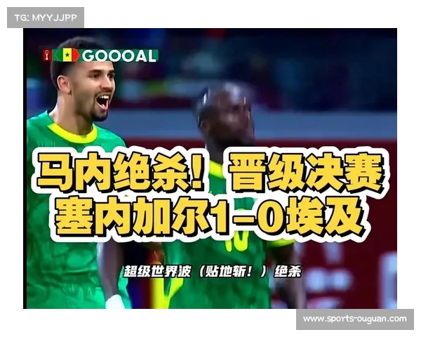 非洲杯决赛：东道主科特迪瓦加时绝杀尼日利亚，主场捧杯